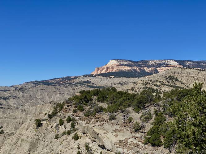 View of the Pink Cliffs from Powell Point Vista
