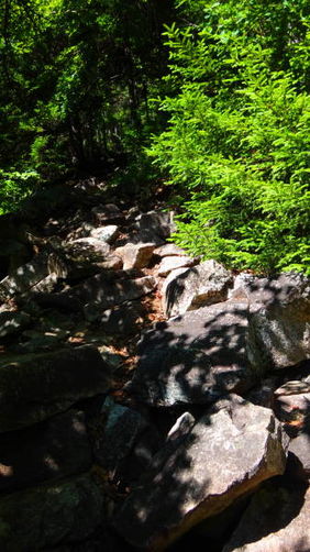 Picture 4 of Presidential Range Hike 072416
