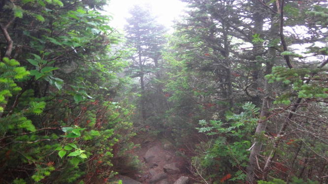 Picture 26 of Presidential Range Hike 072416