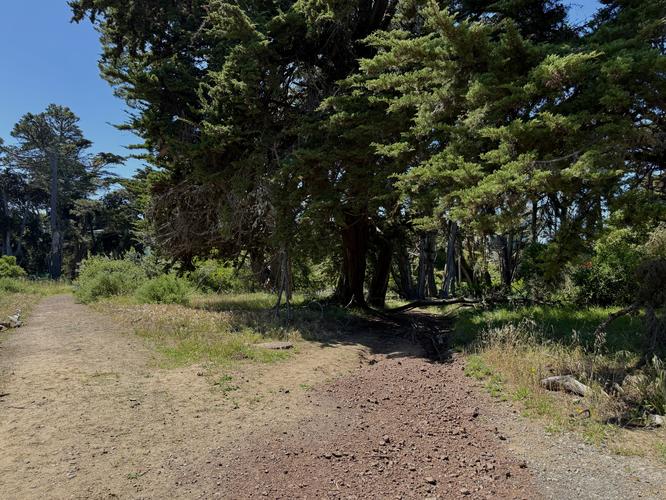Trailhead on Lincoln Blvd
