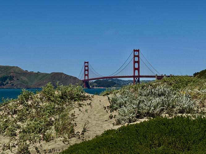 Picture 9 of Presidio and Golden Gate Views Hike