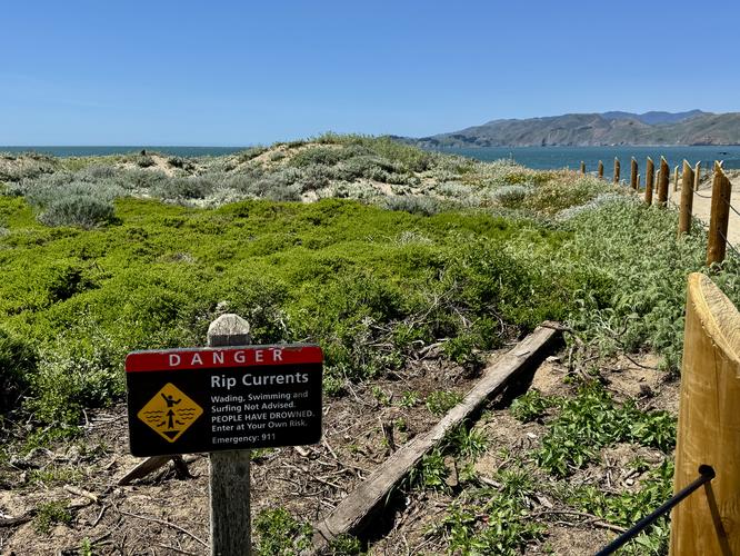 Picture 10 of Presidio and Golden Gate Views Hike