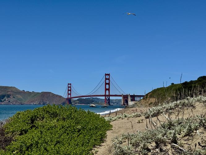 Picture 13 of Presidio and Golden Gate Views Hike