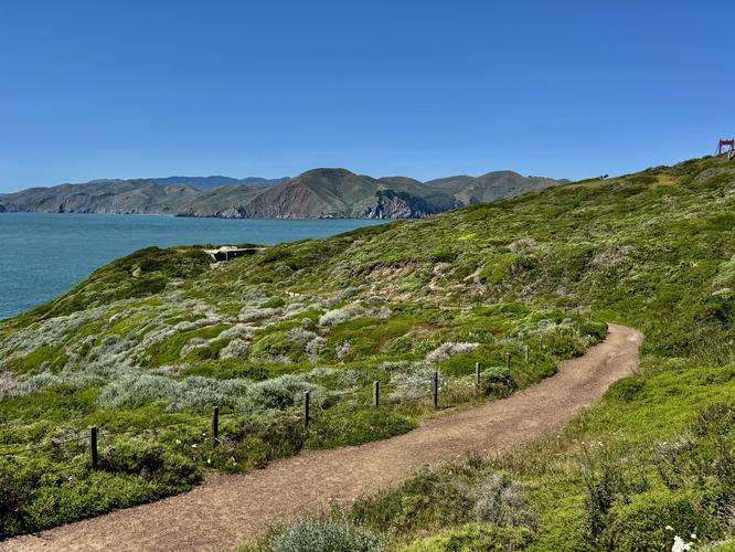 Picture 28 of Presidio and Golden Gate Views Hike