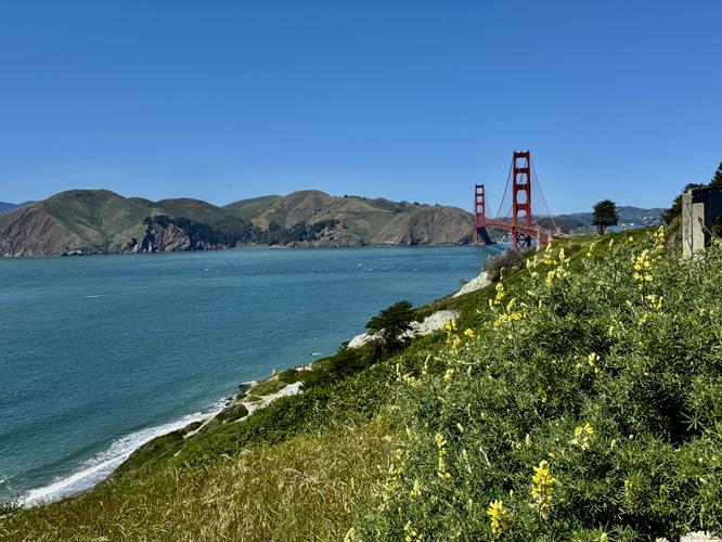 Picture 31 of Presidio and Golden Gate Views Hike