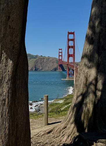 Picture 37 of Presidio and Golden Gate Views Hike