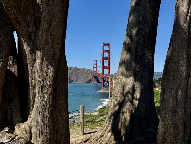 Picture 38 of Presidio and Golden Gate Views Hike