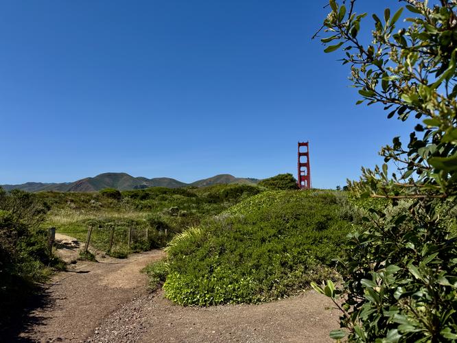 Picture 44 of Presidio and Golden Gate Views Hike