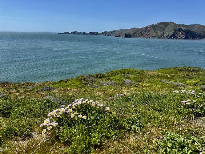 Picture 47 of Presidio and Golden Gate Views Hike