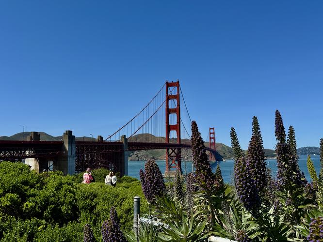 Picture 55 of Presidio and Golden Gate Views Hike
