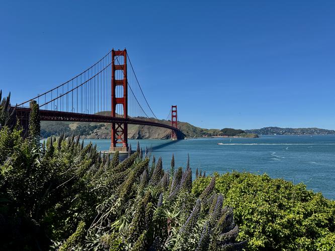 Wildflowers and the Golden Gate Bridge