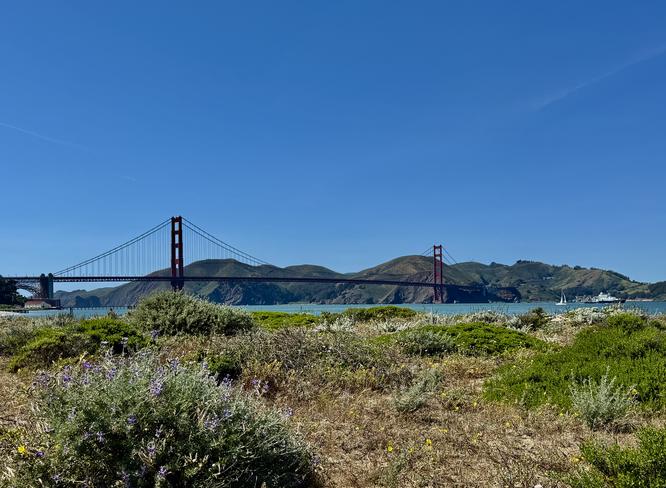 View of the bay and the Golden Gate