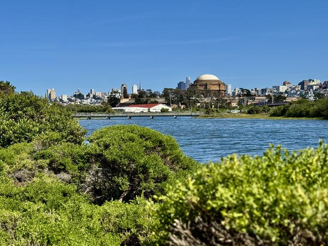 View of SF, Palace of Fine Arts, and the East Beach Lagoon