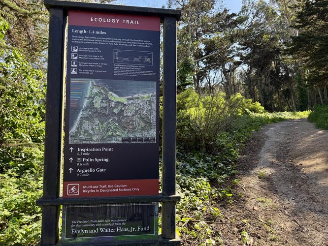 Picture 73 of Presidio and Golden Gate Views Hike