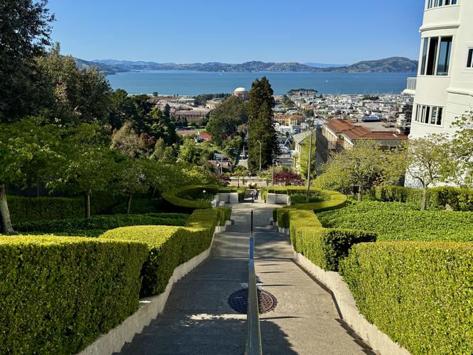Picture 85 of Presidio and Golden Gate Views Hike