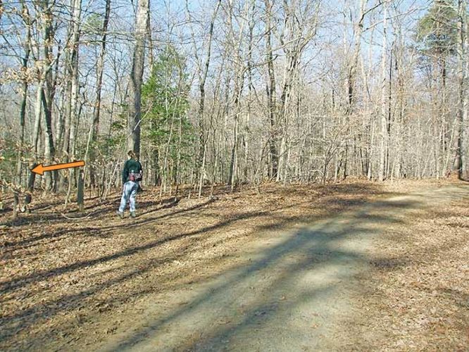 Picture 4 of Prince William Hike 012806