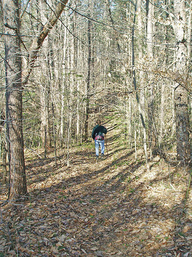 Picture 9 of Prince William Hike 012806