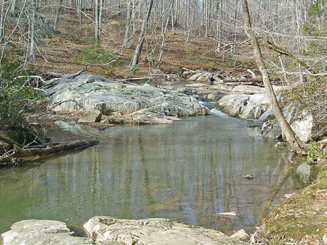 Default image for Prince William Forest Hike, a 7.0-mile trail in Triangle, VA (US)