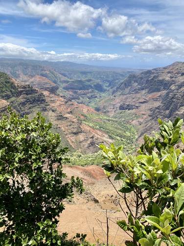 Vista of Waimea Canyon at the Pu'u Hinahina Lookout