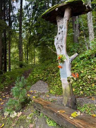 Puflerbach Falls - Puflerbach Falls album