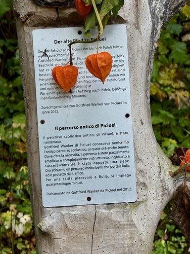 Picture 3 of Puflerbach Falls