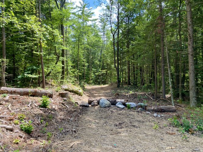 Pulpit Falls trailhead