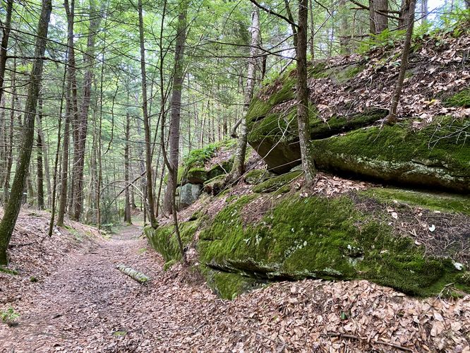 Mossy rock outcropping