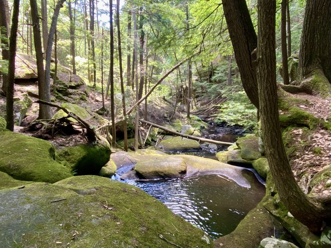 Pools of Pulpit Falls
