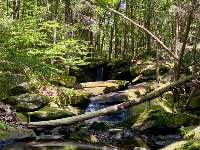 Downstream view of Pulpit Falls