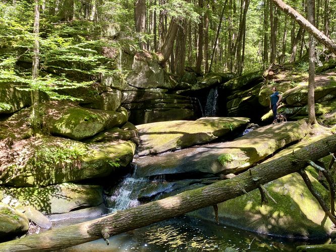 Downstream view of Pulpit Falls
