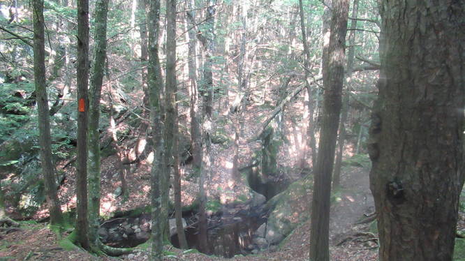 A stream winds along the Ravine Trail