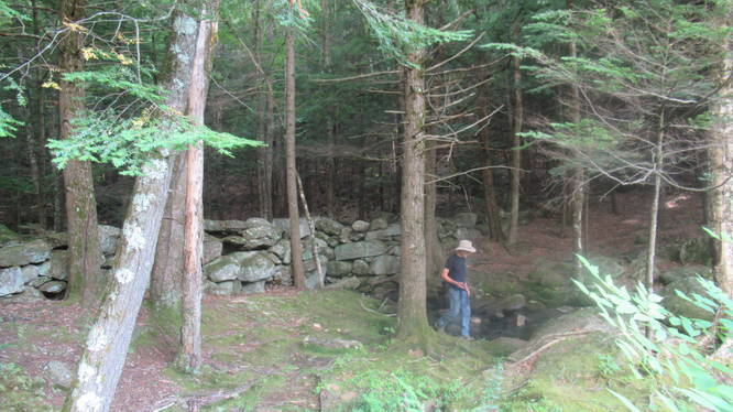 Gage's Sawmill Site