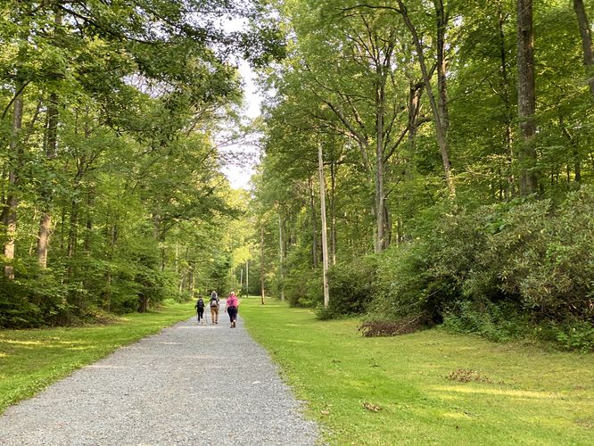 Hiking the service road to reach the AT