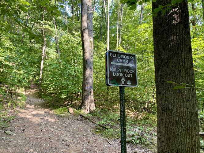 Stay left to Pulpit Rock