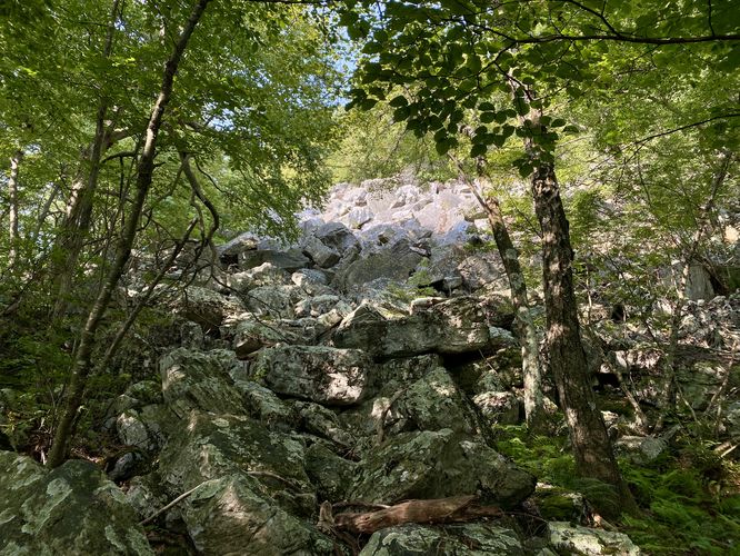 Boulder field