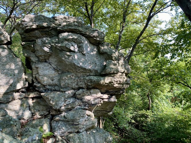 Rocky outcropping