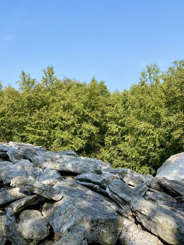 Boulder field
