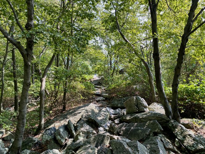 Rocky path leads to The Pinnacle overlook