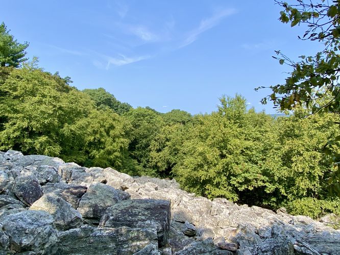 Boulder Field View