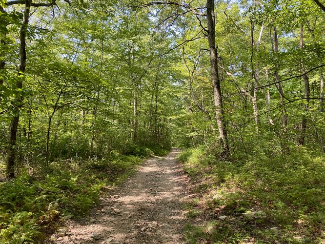 Hiking the AT west