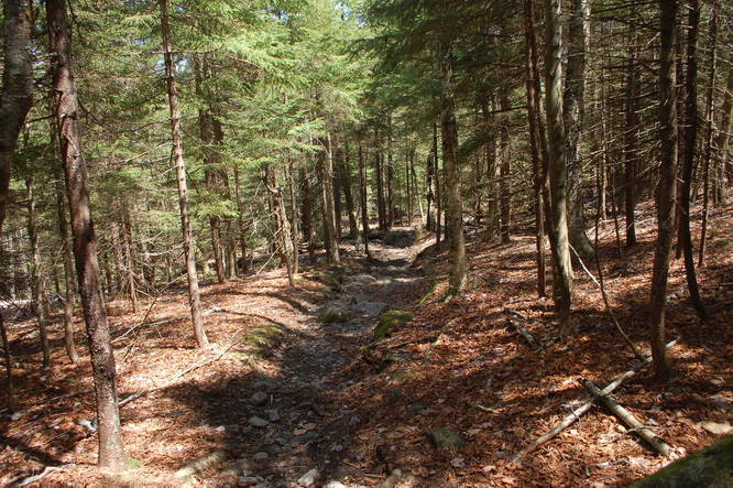 Picture 2 of Pumpelly Trail