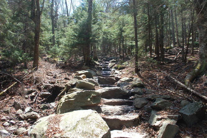 Picture 3 of Pumpelly Trail