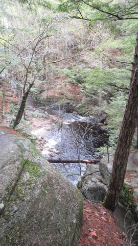 The view of the pool below the falls from above