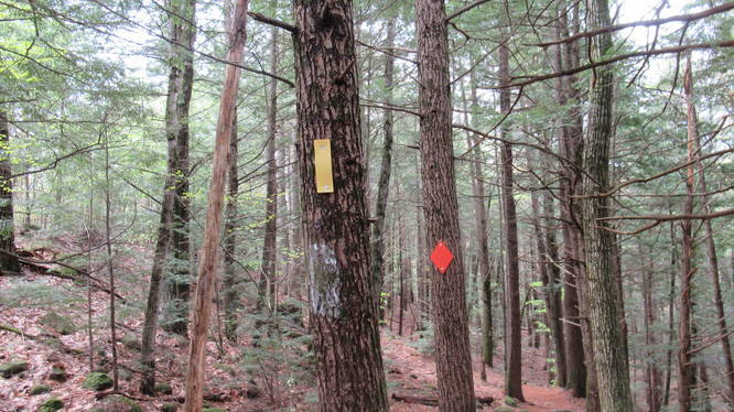 Three markers for the same section of trail