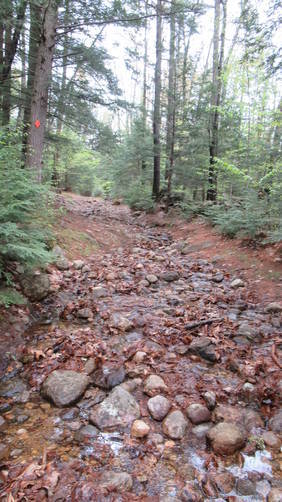 Wet conditions make the trails hard to navigate