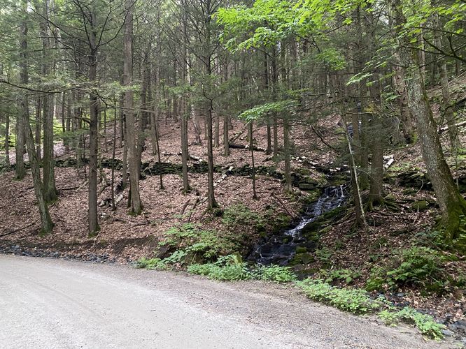 Short road walk to reach Putney Mountain Falls