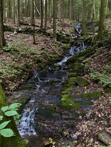 Putney Mountain Falls, approx. 40-feet tall (multi-tiered)