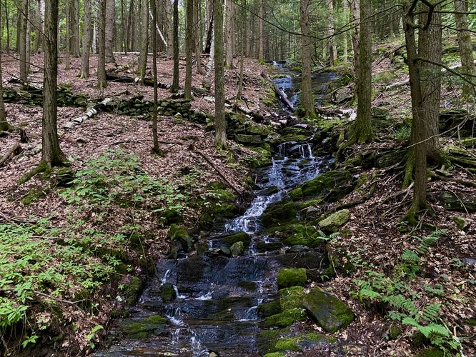 Default image for Putney Mountain Falls, a 0.0-mile trail in Putney, VT (US)