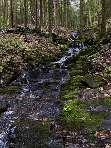 Putney Mountain Falls, approx. 40-feet tall (multi-tiered)