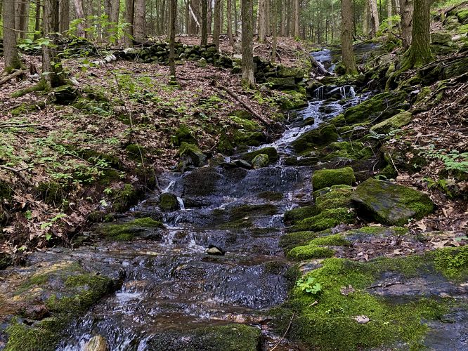 Putney Mountain Falls, approx. 40-feet tall (multi-tiered)